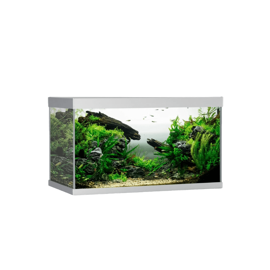 AkvaStabil ELEMENT Aquarium Silver – 144 liter - DjurZooAkvaStabil ELEMENT Aquarium Silver – 144 literAkvaStabilDjurZooA40080G5701883392101144 L - 80x40x48 cmAkvaStabil ELEMENT Aquarium Silver – 144 liter