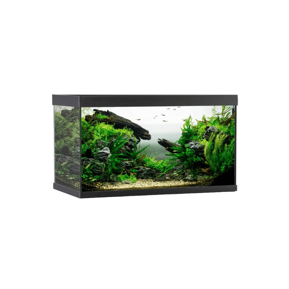 AkvaStabil ELEMENT Aquarium Svart – 144 liter - DjurZooAkvaStabil ELEMENT Aquarium Svart – 144 literAkvaStabilDjurZooA40080B5701883392095144 L - 80x40x48 cmAkvaStabil ELEMENT Aquarium Svart – 144 liter